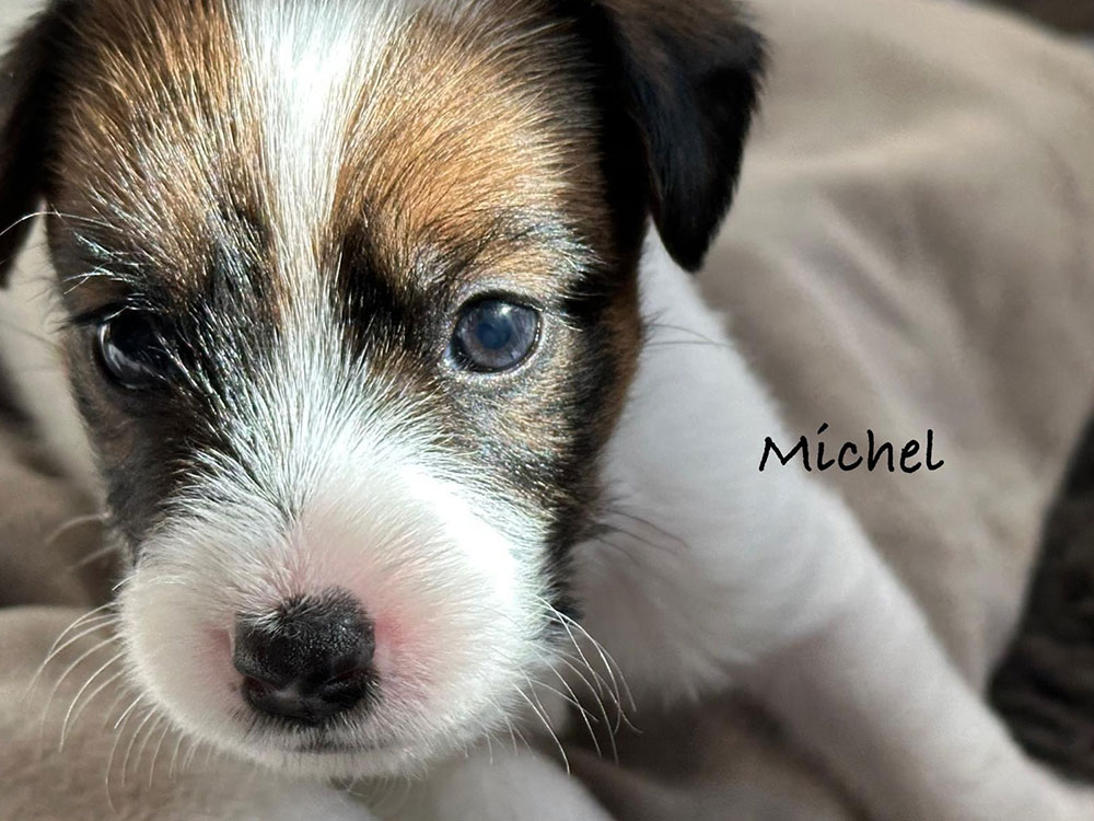Parson Russel Michel